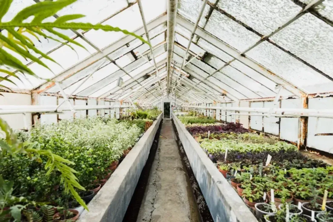 Greenhouse Management