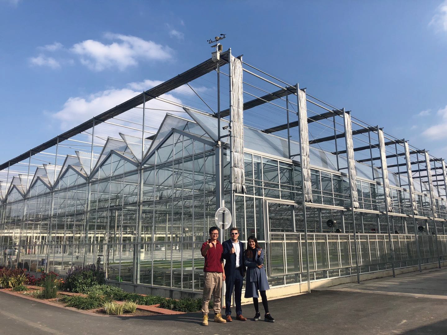 Benary Seedling Base, China