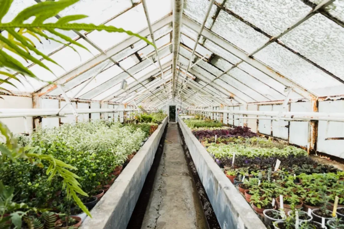 Greenhouse Management