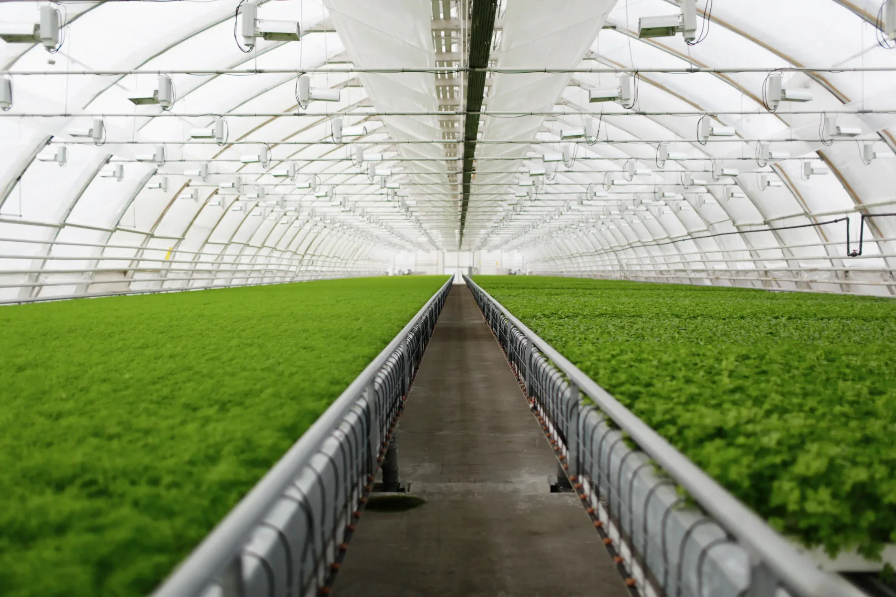 Greenhouse Monitoring & Automation