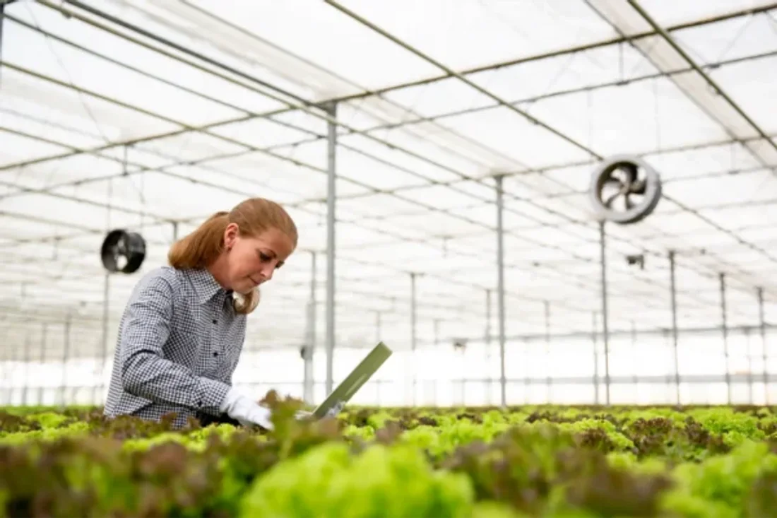 Multi-Farm Irrigation Network