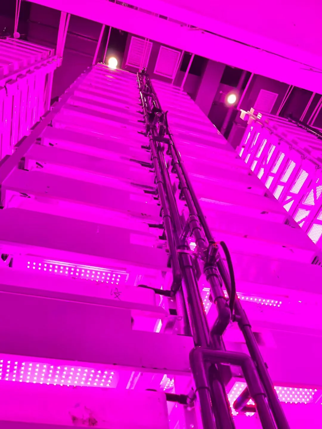 Indoor Farming