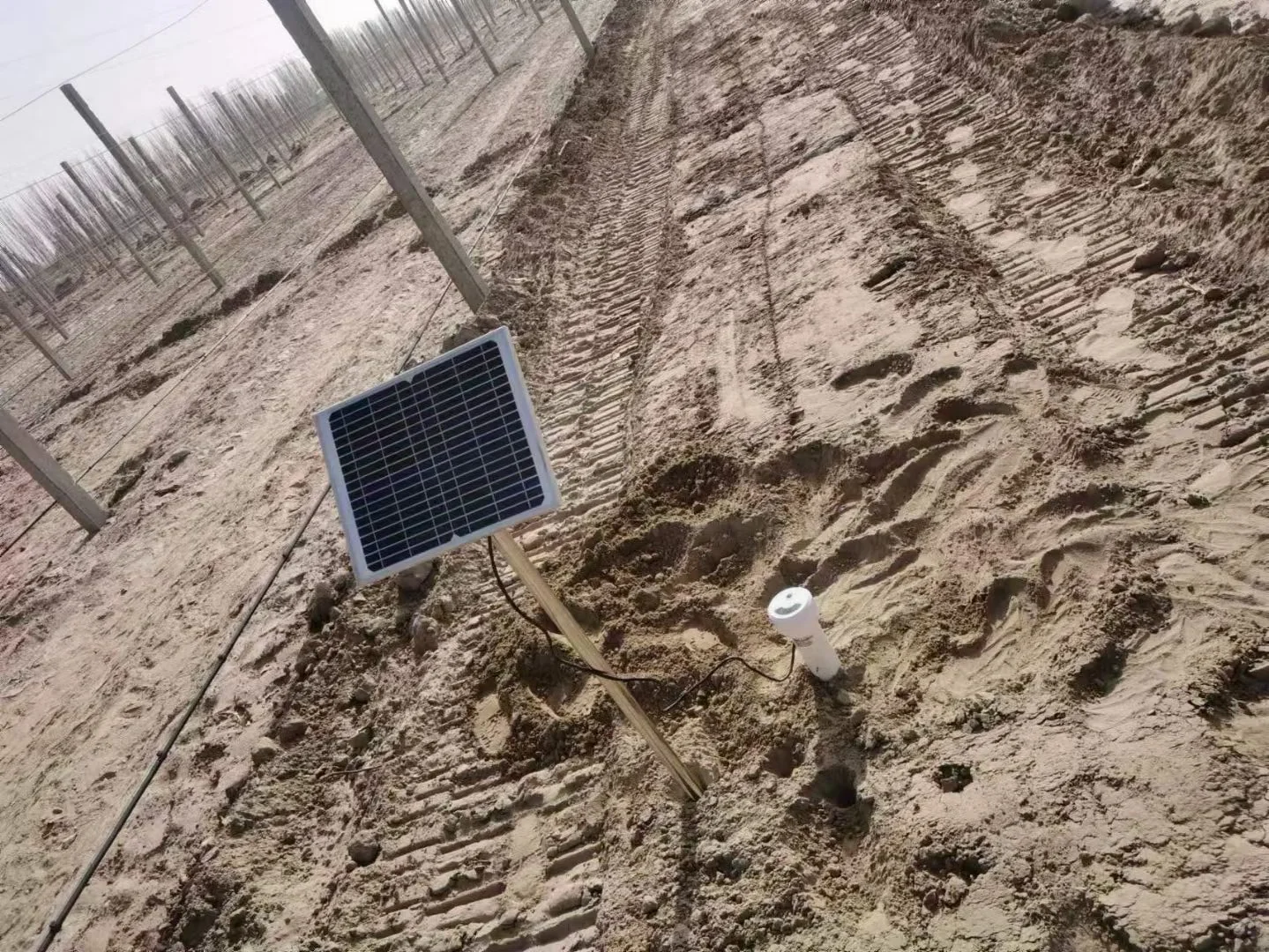 Open Field Management
